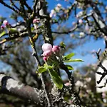 Les Jonquilles-2 By Interhome בית נופש טוקה