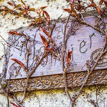 Les Jonquilles-2 By Interhome *