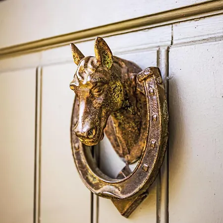 Les Jonquilles-2 By Interhome Semesterbostad Touques