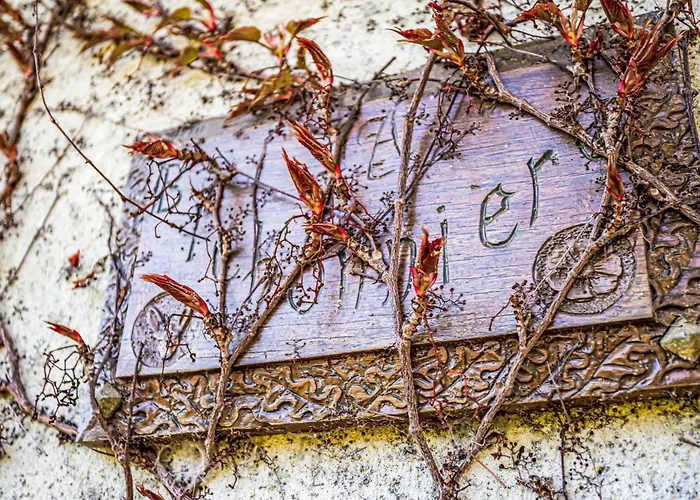 Les Jonquilles-2 By Interhome *