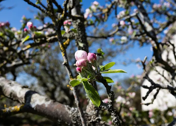 Les Jonquilles-2 By Interhome Hébergement de vacances Touques